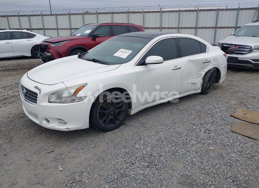 Photo 2 of 2011 Nissan Maxima 3.5 SV (VIN 1N4AA5AP7BC844506)