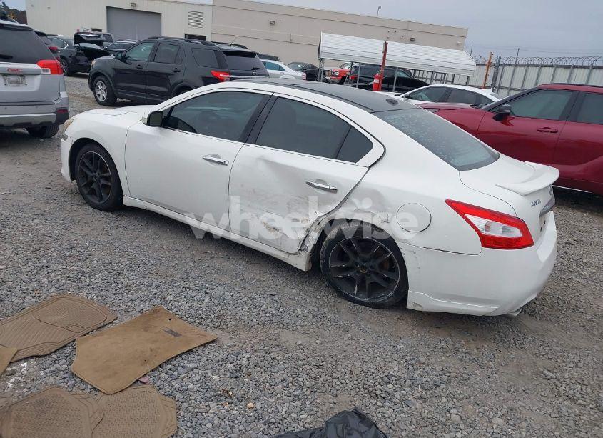 Photo 3 of 2011 Nissan Maxima 3.5 SV (VIN 1N4AA5AP7BC844506)