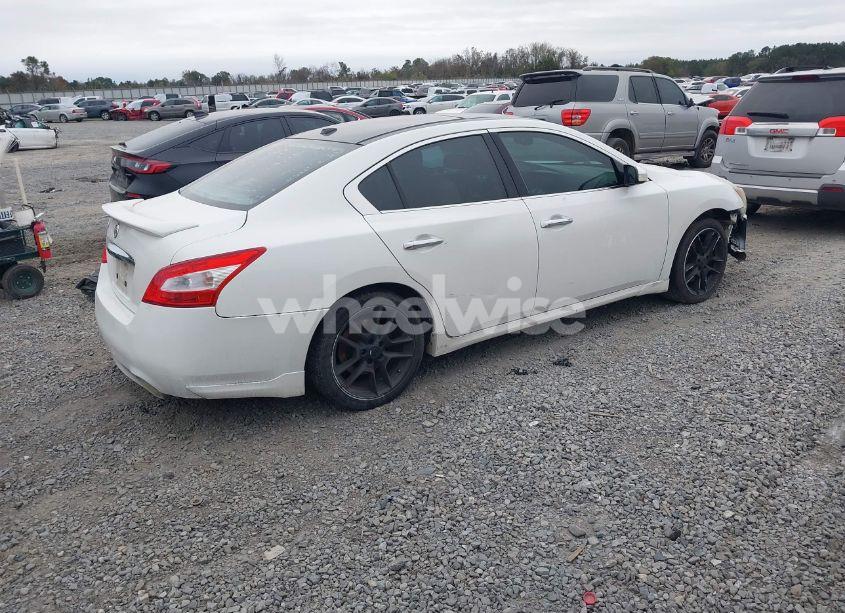 Photo 4 of 2011 Nissan Maxima 3.5 SV (VIN 1N4AA5AP7BC844506)
