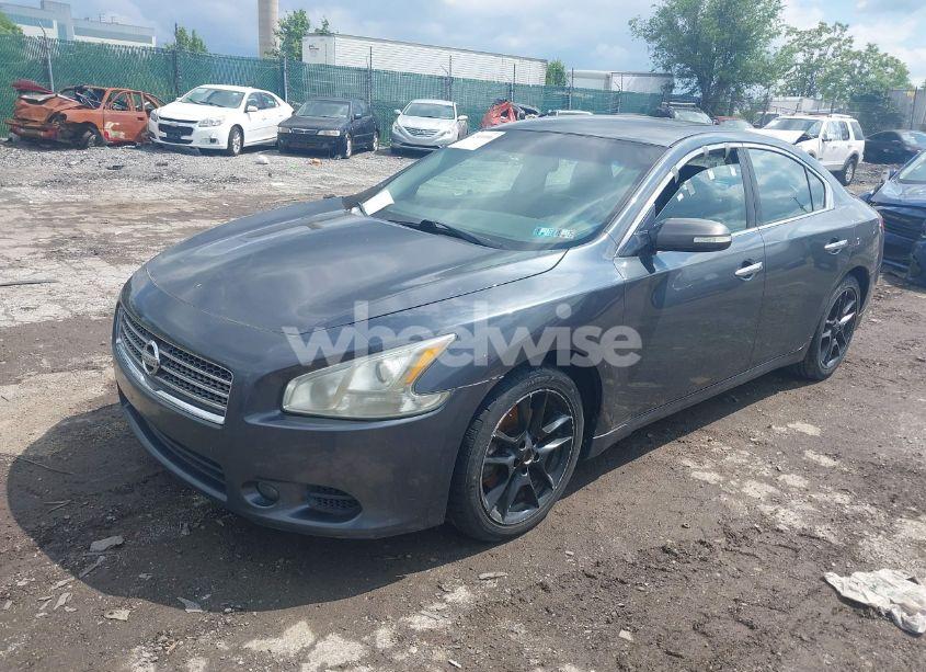 Photo 2 of 2011 Nissan Maxima 3.5 SV (VIN 1N4AA5AP7BC844599)