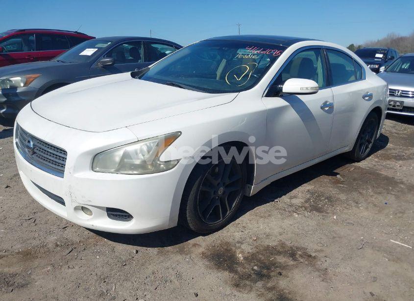 Photo 2 of 2011 Nissan Maxima 3.5 SV (VIN 1N4AA5AP7BC856462)