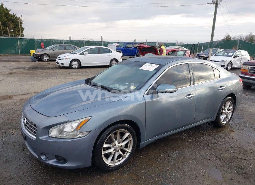 Photo 2 of 2011 Nissan Maxima 3.5 SV (VIN 1N4AA5AP7BC861273)