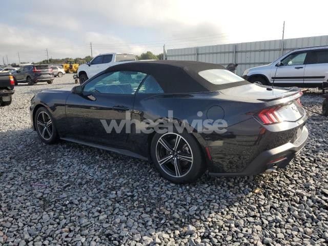 Photo 11 of 2024 FORD MUSTANG (VIN 1N4AA5AP7DC802193)