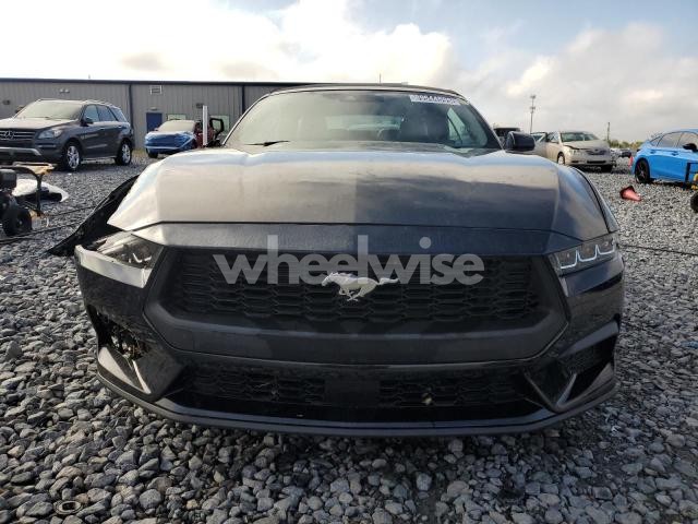 Photo 2 of 2024 FORD MUSTANG (VIN 1N4AA5AP7DC802193)