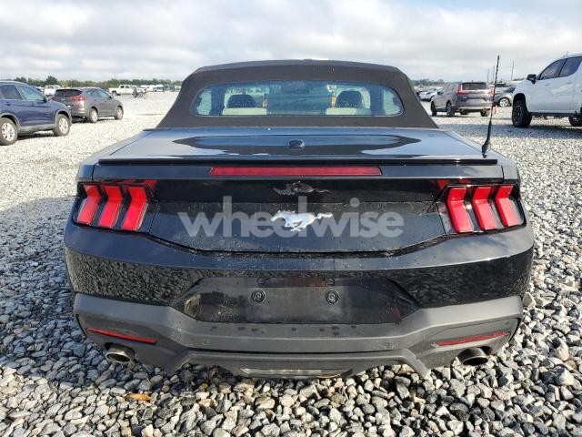Photo 9 of 2024 FORD MUSTANG (VIN 1N4AA5AP7DC802193)
