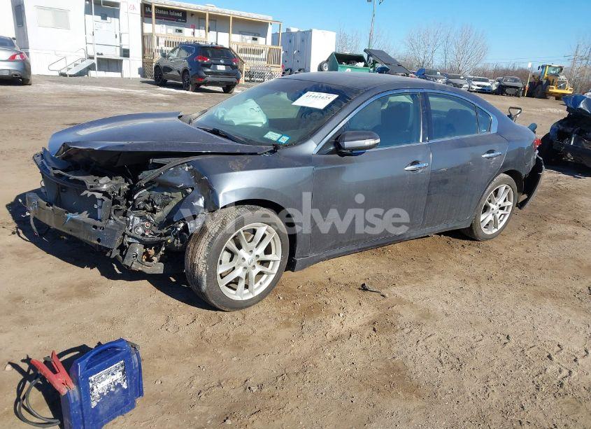 Photo 2 of 2010 Nissan Maxima 3.5 SV (VIN 1N4AA5AP8AC811996)