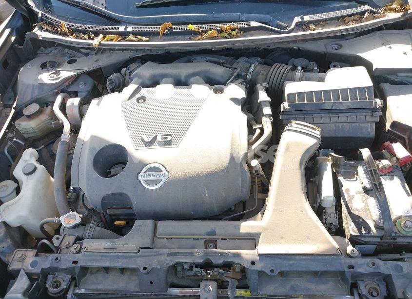 Photo 10 of 2010 Nissan Maxima 3.5 SV (VIN 1N4AA5AP8AC815904)