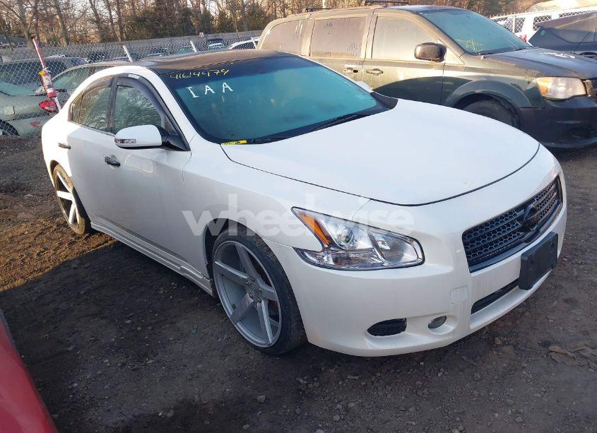 2010 Nissan Maxima 3.5 SV (VIN 1N4AA5AP8AC828300) main photo