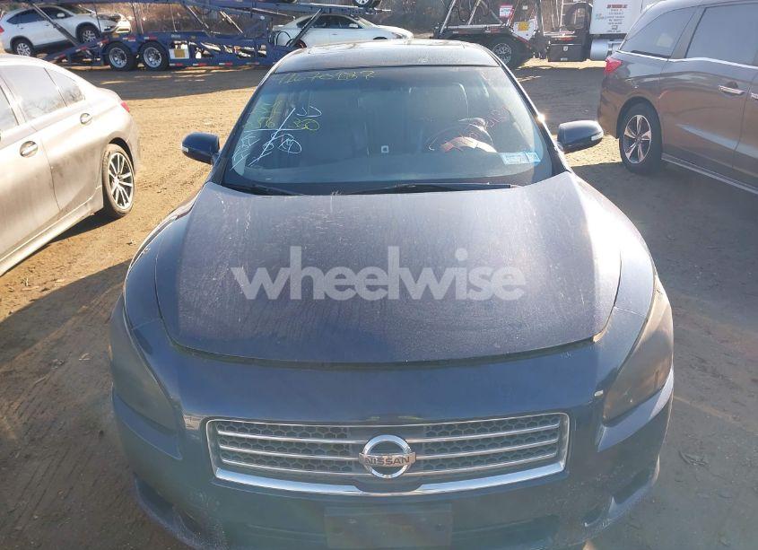 Photo 12 of 2010 Nissan Maxima 3.5 SV (VIN 1N4AA5AP8AC833965)