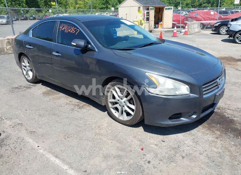 2010 Nissan Maxima 3.5 SV (VIN 1N4AA5AP8AC841970) main photo