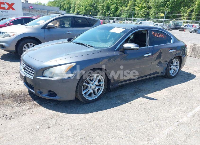 Photo 2 of 2010 Nissan Maxima 3.5 SV (VIN 1N4AA5AP8AC841970)