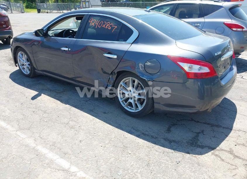 Photo 3 of 2010 Nissan Maxima 3.5 SV (VIN 1N4AA5AP8AC841970)