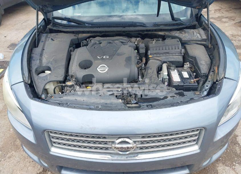 Photo 10 of 2010 Nissan Maxima 3.5 SV (VIN 1N4AA5AP8AC856758)