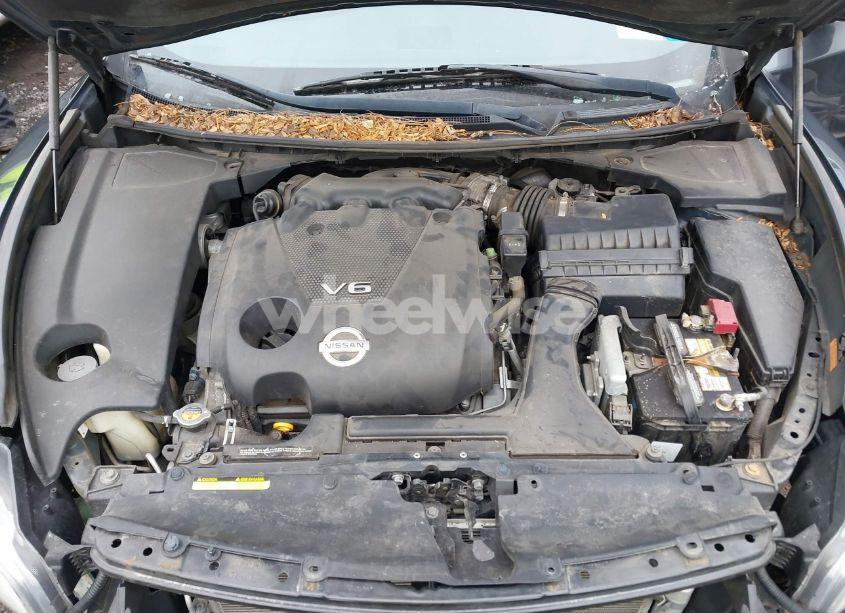 Photo 10 of 2010 Nissan Maxima 3.5 SV (VIN 1N4AA5AP8AC862768)