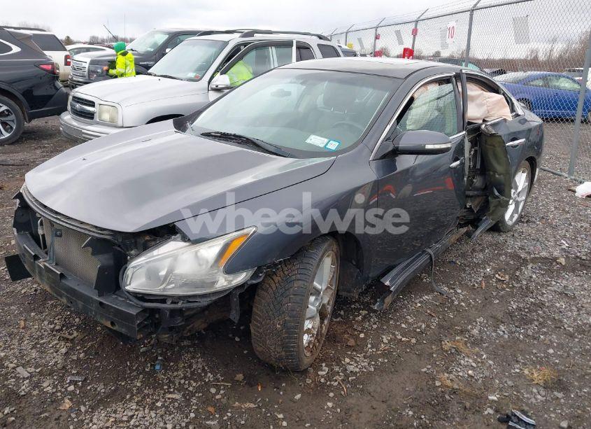 Photo 2 of 2010 Nissan Maxima 3.5 SV (VIN 1N4AA5AP8AC862768)