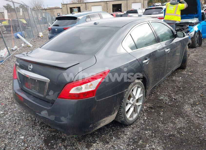 Photo 4 of 2010 Nissan Maxima 3.5 SV (VIN 1N4AA5AP8AC862768)
