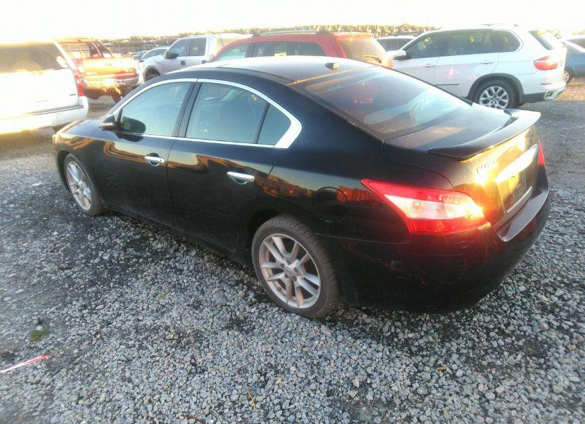Photo 3 of 2011 Nissan Maxima 3.5 SV (VIN 1N4AA5AP8BC808808)