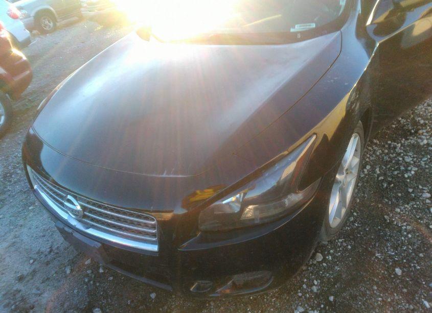 Photo 6 of 2011 Nissan Maxima 3.5 SV (VIN 1N4AA5AP8BC808808)