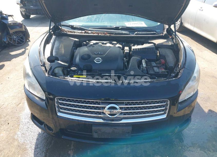 Photo 10 of 2011 Nissan Maxima 3.5 SV (VIN 1N4AA5AP8BC820831)