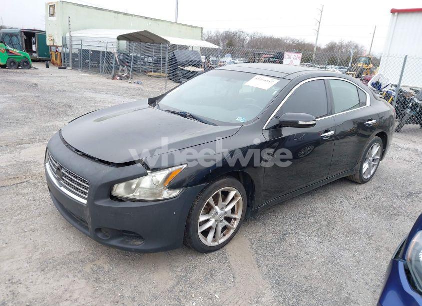 Photo 2 of 2011 Nissan Maxima 3.5 SV (VIN 1N4AA5AP8BC820845)