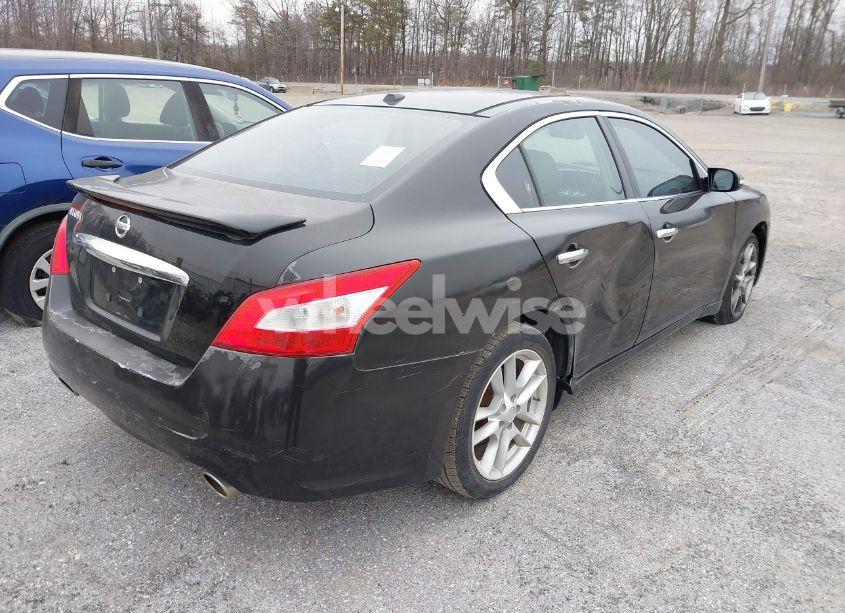 Photo 4 of 2011 Nissan Maxima 3.5 SV (VIN 1N4AA5AP8BC820845)