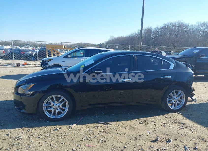 Photo 14 of 2011 Nissan Maxima 3.5 SV (VIN 1N4AA5AP8BC842229)