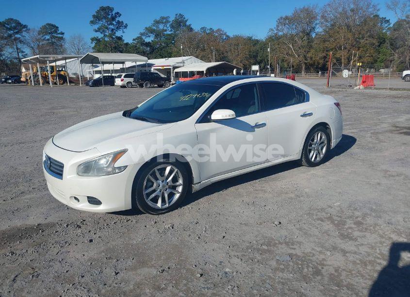 Photo 2 of 2011 Nissan Maxima 3.5 SV (VIN 1N4AA5AP8BC856485)