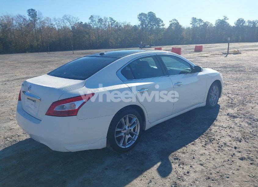 Photo 4 of 2011 Nissan Maxima 3.5 SV (VIN 1N4AA5AP8BC856485)