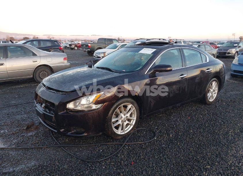 Photo 2 of 2014 Nissan Maxima 3.5 S/3.5 SV (VIN 1N4AA5AP8EC491004)