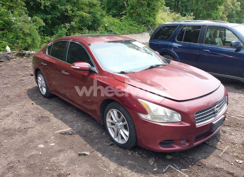 2010 Nissan Maxima 3.5 SV (VIN 1N4AA5AP9AC802188) main photo