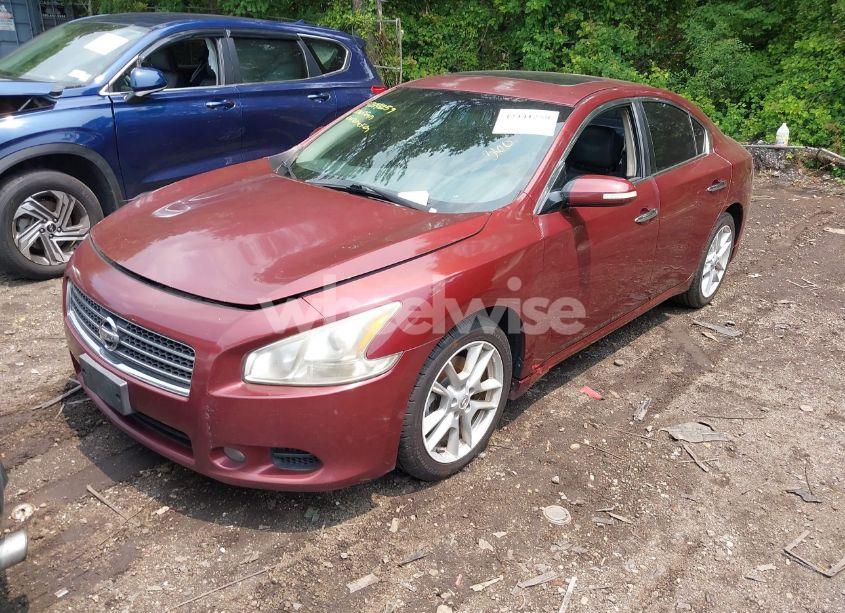 Photo 2 of 2010 Nissan Maxima 3.5 SV (VIN 1N4AA5AP9AC802188)