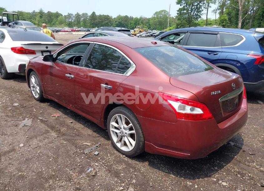 Photo 3 of 2010 Nissan Maxima 3.5 SV (VIN 1N4AA5AP9AC802188)