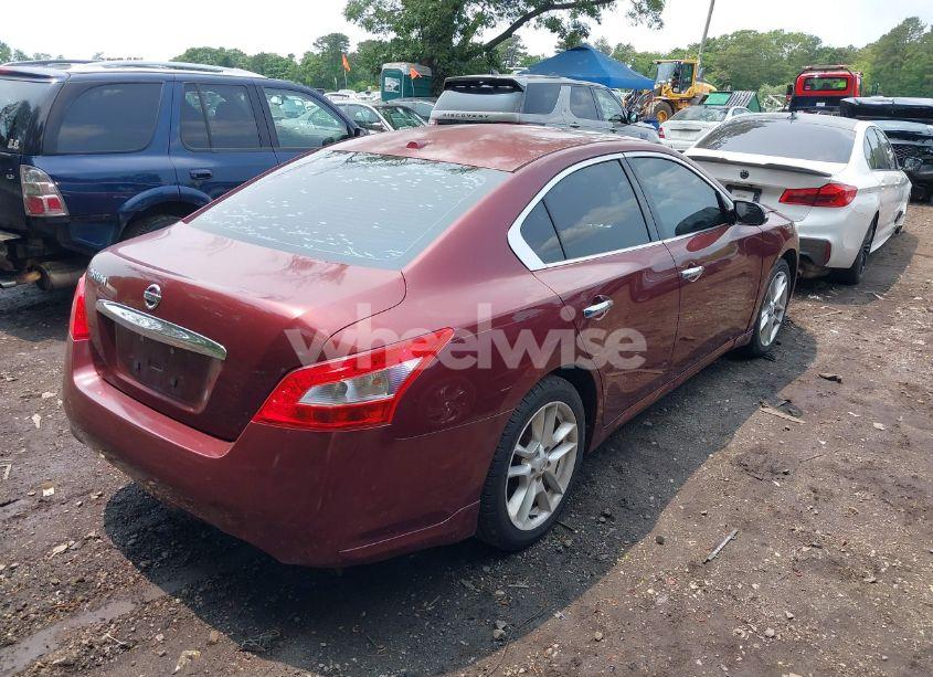 Photo 4 of 2010 Nissan Maxima 3.5 SV (VIN 1N4AA5AP9AC802188)