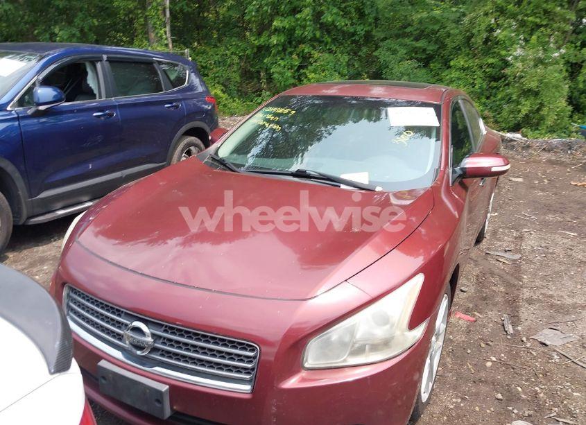 Photo 6 of 2010 Nissan Maxima 3.5 SV (VIN 1N4AA5AP9AC802188)