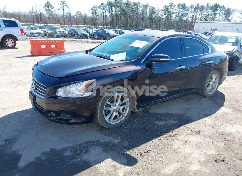Photo 2 of 2010 Nissan Maxima 3.5 SV (VIN 1N4AA5AP9AC806449)
