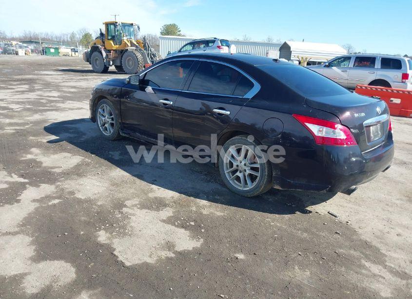 Photo 3 of 2010 Nissan Maxima 3.5 SV (VIN 1N4AA5AP9AC806449)