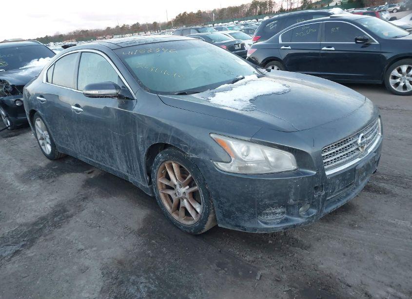 2010 Nissan Maxima 3.5 SV W/PREMIUM PKG (VIN 1N4AA5AP9AC822392) main photo