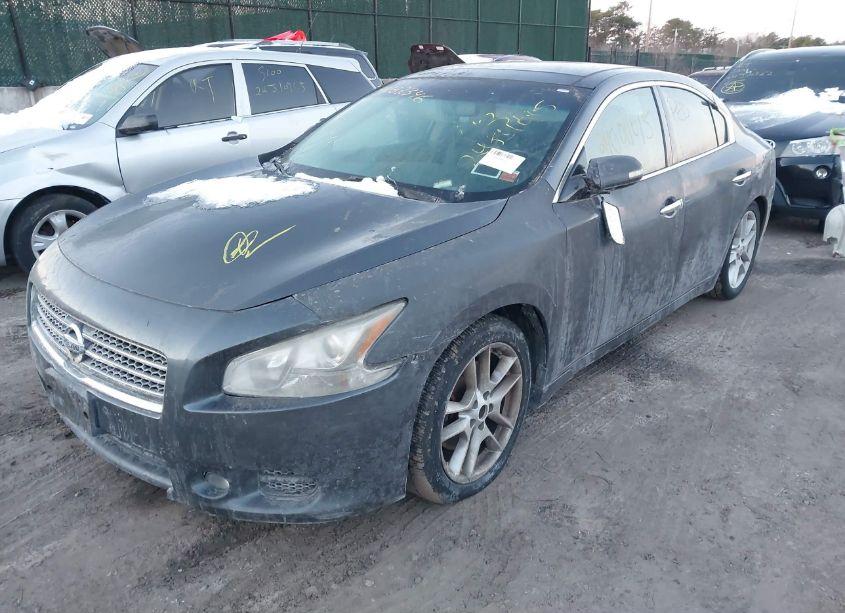 Photo 2 of 2010 Nissan Maxima 3.5 SV W/PREMIUM PKG (VIN 1N4AA5AP9AC822392)