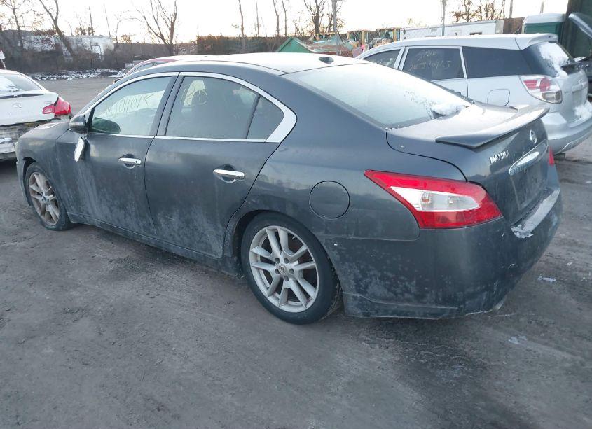 Photo 3 of 2010 Nissan Maxima 3.5 SV W/PREMIUM PKG (VIN 1N4AA5AP9AC822392)