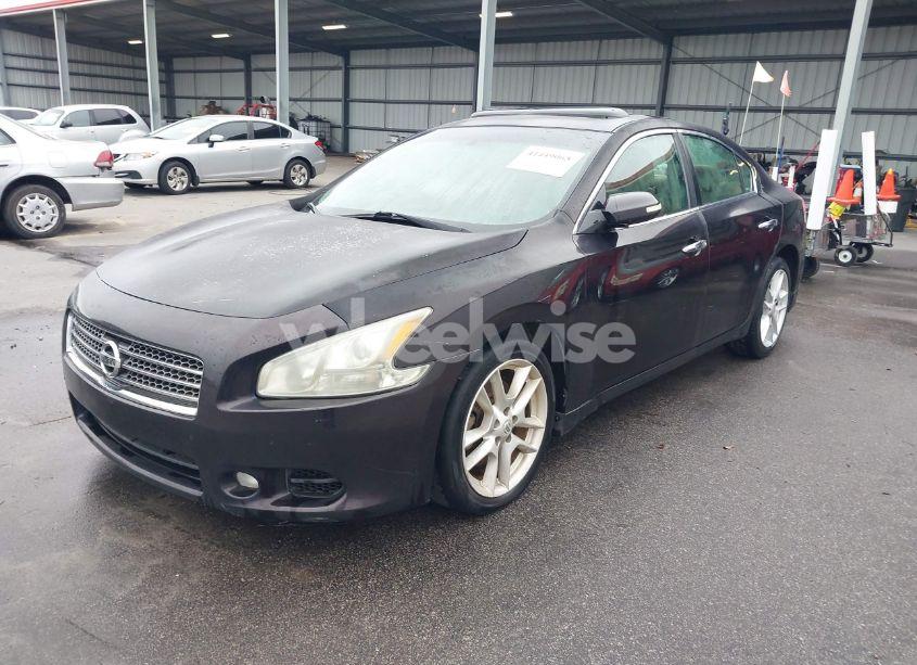 Photo 2 of 2010 Nissan Maxima 3.5 SV (VIN 1N4AA5AP9AC826619)