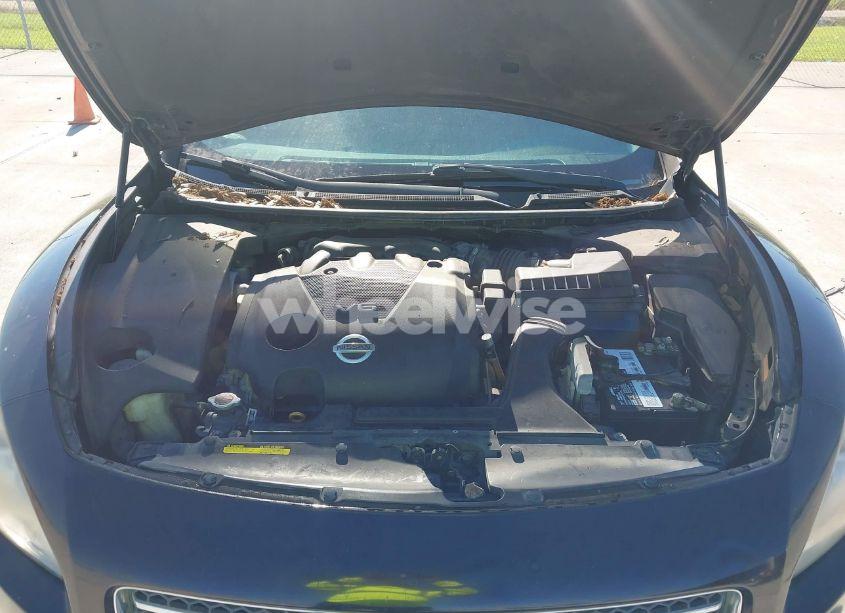 Photo 10 of 2010 Nissan Maxima 3.5 SV (VIN 1N4AA5AP9AC840956)