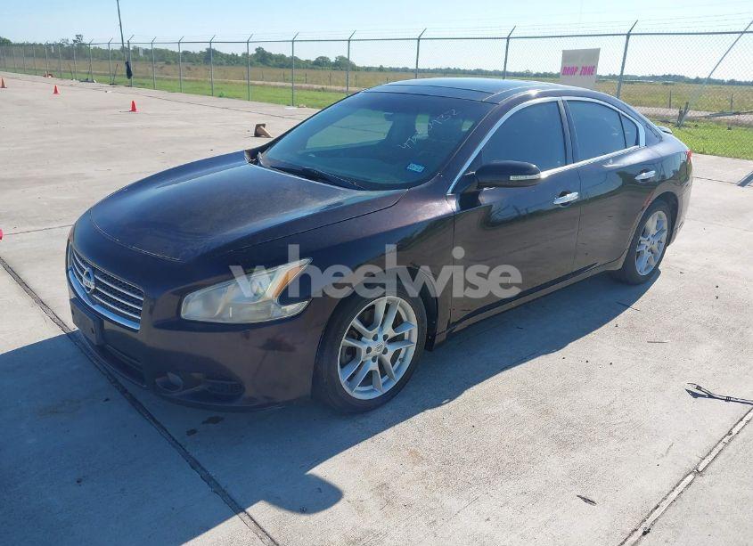 Photo 2 of 2010 Nissan Maxima 3.5 SV (VIN 1N4AA5AP9AC840956)