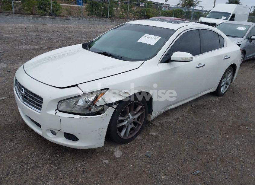 Photo 2 of 2010 Nissan Maxima 3.5 SV (VIN 1N4AA5AP9AC848006)