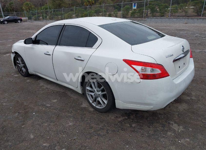 Photo 3 of 2010 Nissan Maxima 3.5 SV (VIN 1N4AA5AP9AC848006)