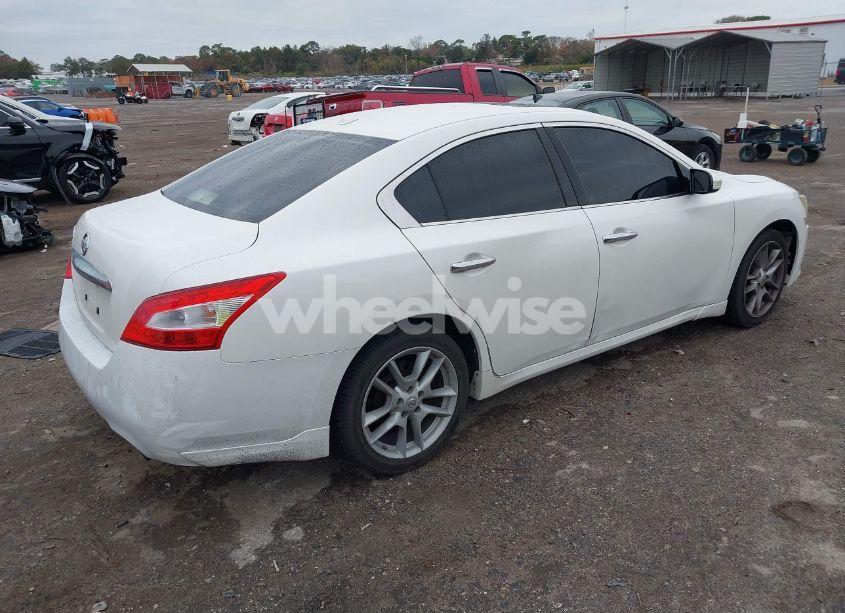Photo 4 of 2010 Nissan Maxima 3.5 SV (VIN 1N4AA5AP9AC848006)