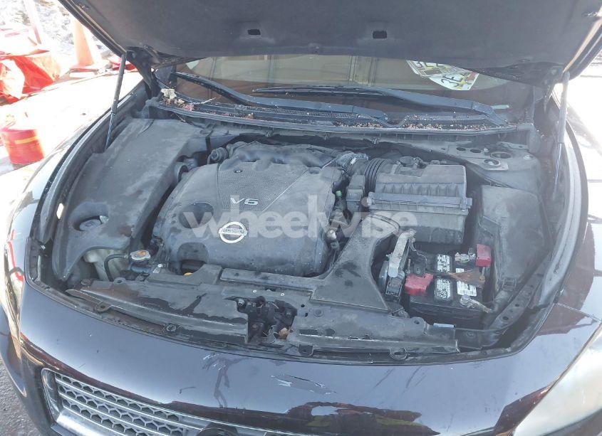 Photo 10 of 2010 Nissan Maxima 3.5 SV (VIN 1N4AA5AP9AC851973)