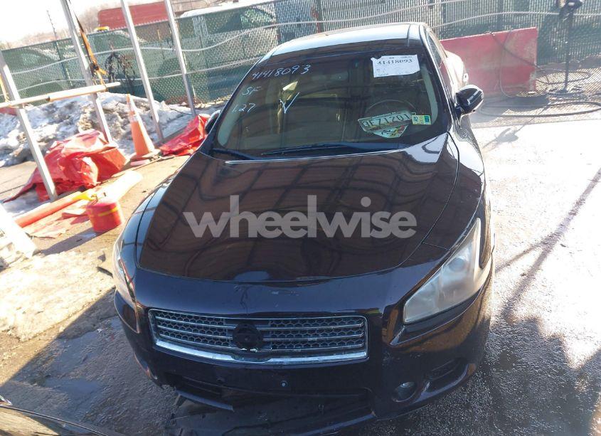 Photo 12 of 2010 Nissan Maxima 3.5 SV (VIN 1N4AA5AP9AC851973)