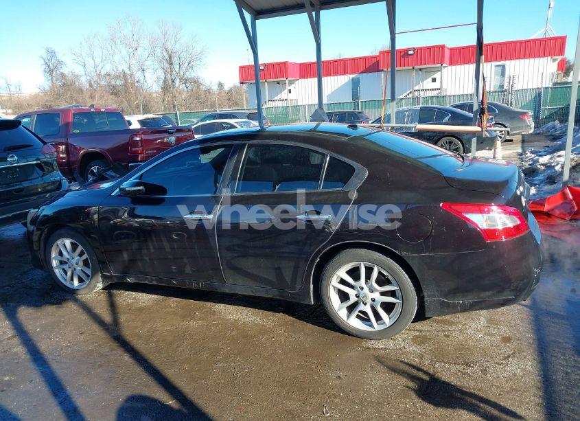 Photo 14 of 2010 Nissan Maxima 3.5 SV (VIN 1N4AA5AP9AC851973)