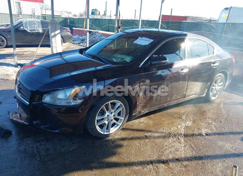 Photo 2 of 2010 Nissan Maxima 3.5 SV (VIN 1N4AA5AP9AC851973)