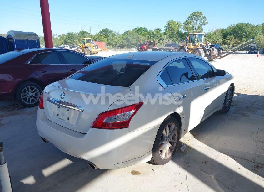 Photo 4 of 2011 Nissan Maxima 3.5 SV (VIN 1N4AA5AP9BC809434)